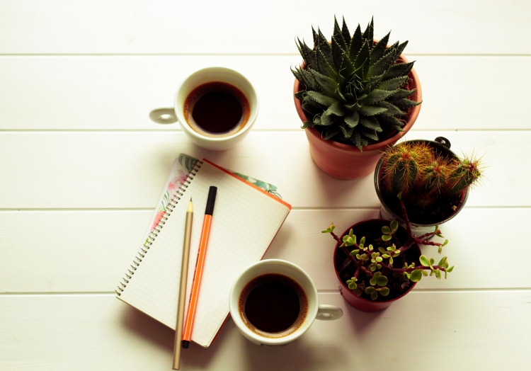 claudialeclercq-solalnorte-coffee.jpg